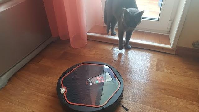 Говорящий робот пылесос Володя Ругается на кота 2 сезон 10 серия Говорящий робот пылесос Володя Ругается на кота 2 сезон 10 серия