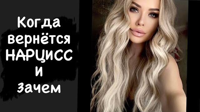 Когда вернётся нарцисс и зачем Когда вернётся нарцисс и зачем