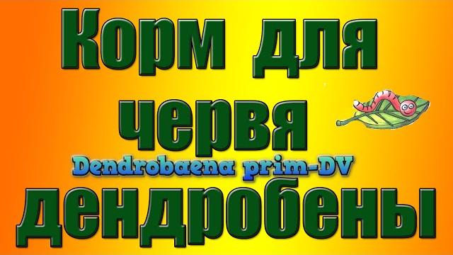 Корм для червя дендрабена . содержание червя дендробена дома. червь для рыбалки . разведение червя Корм для червя дендрабена . содержание червя дендробена дома. червь для рыбалки . разведение червя