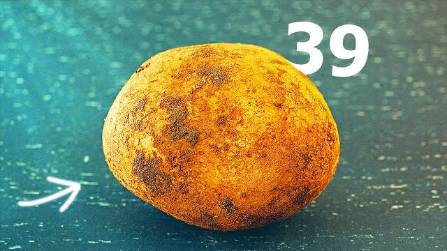 ВСЕ 39 СПОСОБОВ ПРИГОТОВИТЬ КАРТОШКУ ВСЕ 39 СПОСОБОВ ПРИГОТОВИТЬ КАРТОШКУ