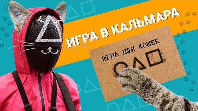 Видео для кошек. Игра для кошек Видео для кошек. Игра для кошек