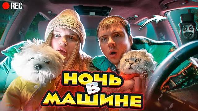 НОЧЬ В МАШИНЕ С КОТАМИ СКРЫВАЕМСЯ ОТ МАНЬЯКА! ЗА НАМИ СЛЕДЯТ... НОЧЬ В МАШИНЕ С КОТАМИ СКРЫВАЕМСЯ ОТ МАНЬЯКА! ЗА НАМИ СЛЕДЯТ...