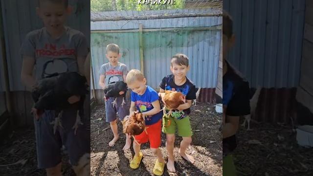 3 месяца с 5 детьми в лесу, ураааааа #юмор #тикток #dance #танцы #трендытиктока #смешнойшортс #угар 3 месяца с 5 детьми в лесу, ураааааа #юмор #тикток #dance #танцы #трендытиктока #смешнойшортс #угар