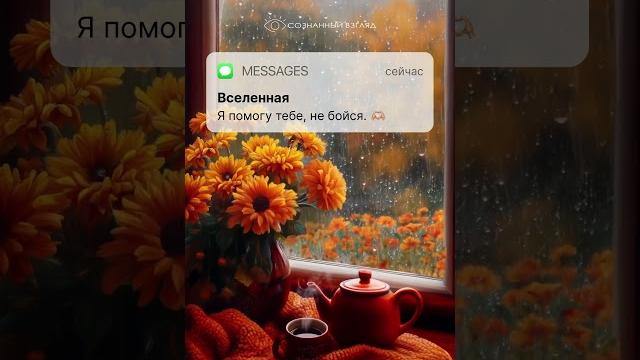 У вас одно новое сообщение У вас одно новое сообщение