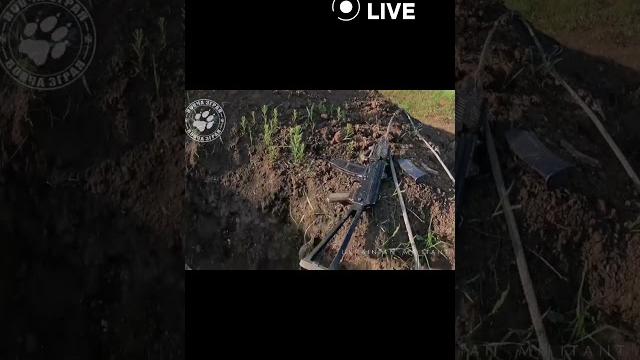 ‼️‼️‼️Это не вагнера, это десантники ‼️‼️‼️Это не вагнера, это десантники