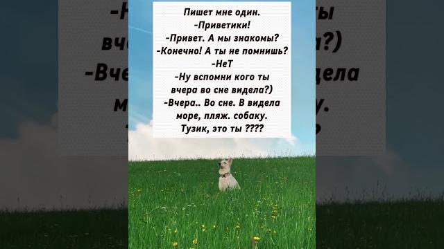 сон) #юмор #цитатыосмысле #смешныешорты #психология #смехпродлеваетжизнь #любовь #цитатыпрожизнь сон) #юмор #цитатыосмысле #смешныешорты #психология #смехпродлеваетжизнь #любовь #цитатыпрожизнь