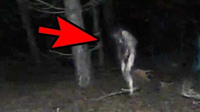 10 Жутких Видео от Которых Мурашки по Коже 10 Жутких Видео от Которых Мурашки по Коже