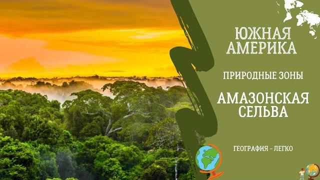Природные Зоны Южной Америки. Амазонская Сельва Природные Зоны Южной Америки. Амазонская Сельва
