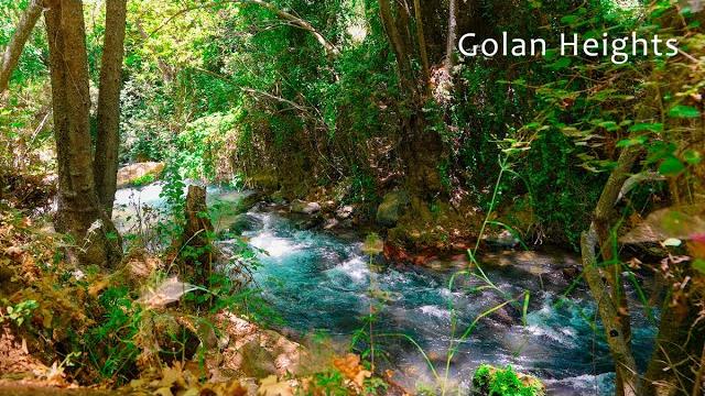 Nature's Lullaby. Soothing Sounds of a Mountain Stream. Nature's Lullaby. Soothing Sounds of a Mountain Stream.