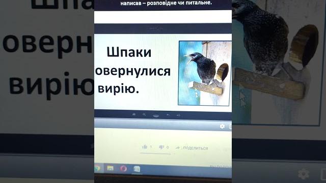 Как ускорить видео на Ютубе Как ускорить видео на Ютубе