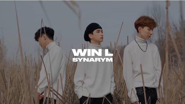 WinL - Synarym / Teaser WinL - Synarym / Teaser
