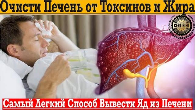 Самый лёгкий способ вывести токсины, жир и яд из печени! Самый лёгкий способ вывести токсины, жир и яд из печени!