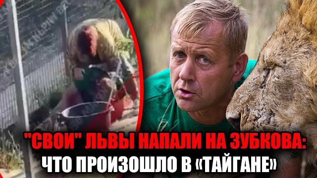 Трагедия в парке Тайган лев перегрыз горло самому владельцу Олег Зубков в тяжёлом состоянии под ИВЛ Трагедия в парке Тайган лев перегрыз горло самому владельцу Олег Зубков в тяжёлом состоянии под ИВЛ