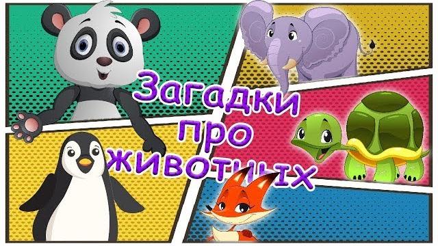 Загадки про животных Загадки про животных