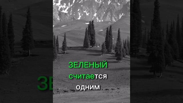 С какими цветами лучше сочетать зелёный #стилист #стиль #fashion #мода #имиджмейкер #гардероб #style С какими цветами лучше сочетать зелёный #стилист #стиль #fashion #мода #имиджмейкер #гардероб #style