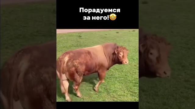 Всем хороших выходных Анекдот в тему Всем хороших выходных Анекдот в тему