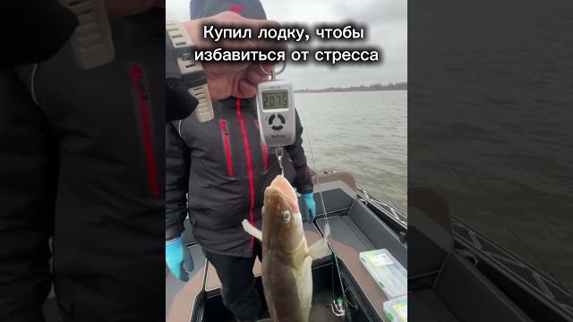 Потому что лодка для семьи #лодка #салют #реки #рыбалка #судак #юмор #boat #волга #катер #рыбак Потому что лодка для семьи #лодка #салют #реки #рыбалка #судак #юмор #boat #волга #катер #рыбак
