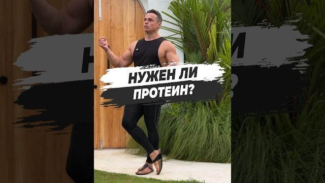 НУЖЕН ЛИ ПРОТЕИН? НУЖЕН ЛИ ПРОТЕИН?