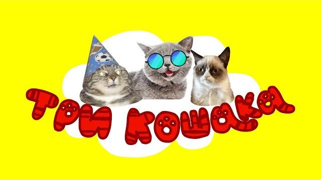 ТРИ КОШАКА ( Пародия на заставку Три кота ) ТРИ КОШАКА ( Пародия на заставку Три кота )
