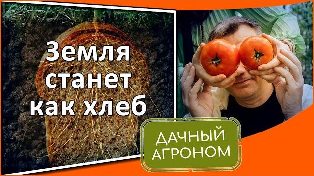 СДЕЛАЙ это ОСЕНЬЮ и ЗЕМЛЯ станет как ХЛЕБ СДЕЛАЙ это ОСЕНЬЮ и ЗЕМЛЯ станет как ХЛЕБ