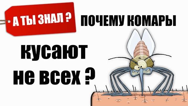 Почему КОМАРЫ кусают НЕ всех? А ТЫ ЗНАЛ? Почему КОМАРЫ кусают НЕ всех? А ТЫ ЗНАЛ?