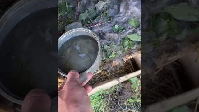 Можно ли трогать крольчат после окрола? Можно ли трогать крольчат после окрола?