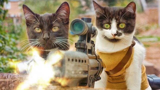 Коты против Зомби Коты против Зомби