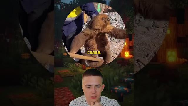 Новый Гарри Поттер #гаррипоттер #ленивец #приколы #анекдот #шутки #кино #юмор #смешныешорты Новый Гарри Поттер #гаррипоттер #ленивец #приколы #анекдот #шутки #кино #юмор #смешныешорты