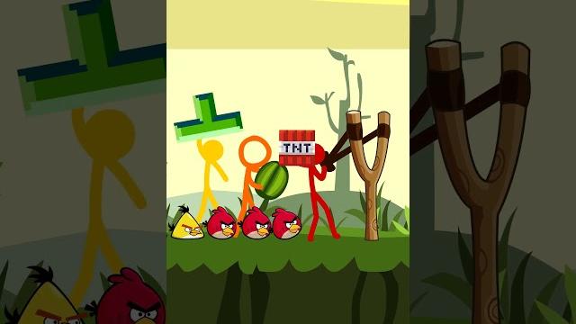 Angry Birds - An Actual Short Angry Birds - An Actual Short