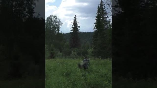 1049 ТАЙГА на слиянии двух рек Красота #дмитрийяков #тайга #рыбалка #охота #поход #лес #выживалово 1049 ТАЙГА на слиянии двух рек Красота #дмитрийяков #тайга #рыбалка #охота #поход #лес #выживалово