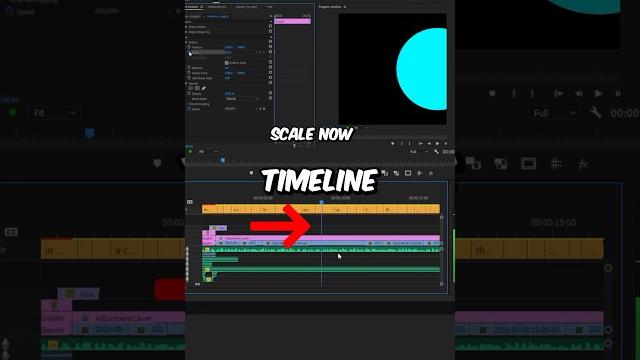 How To Get SMOOTH Timeline Scrolling in Premiere Pro How To Get SMOOTH Timeline Scrolling in Premiere Pro
