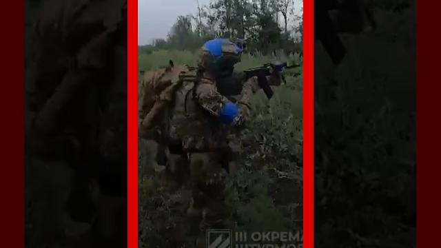 ️️️"Прям в окоп на*уй" Видео штурма ️️️"Прям в окоп на*уй" Видео штурма