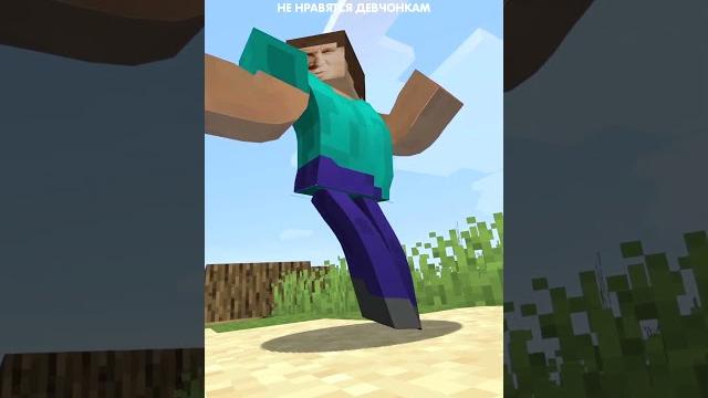Мальчик-дрищ влюбился в красивую девчонку в minecraft! Мальчик-дрищ влюбился в красивую девчонку в minecraft!