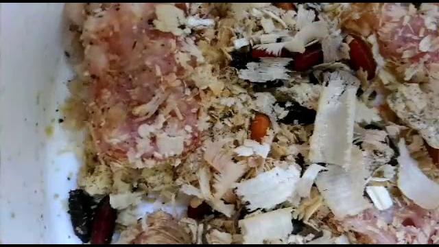Видео от которого вас стошнит 2 Видео от которого вас стошнит 2