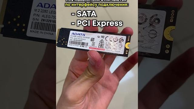 M.2 SATA vs. M.2 NVMe - в чем разница SSD? M.2 SATA vs. M.2 NVMe - в чем разница SSD?