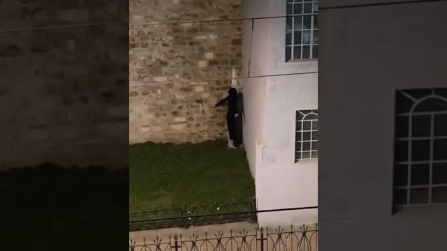Сербская леди Сербская леди