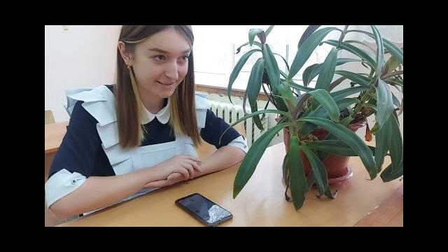 видео на день матери 9 класс видео на день матери 9 класс