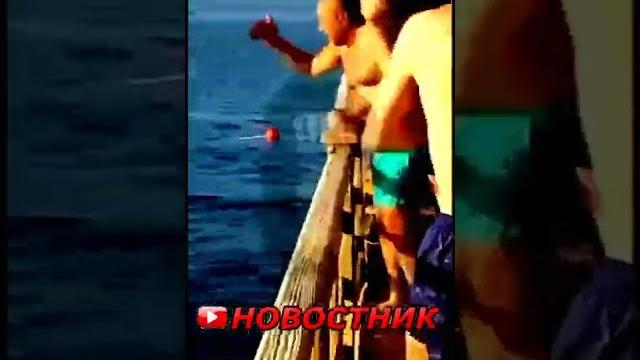 Люди в УжасеВ Египте на Туриста Напала Акула: Люди в УжасеВ Египте на Туриста Напала Акула: