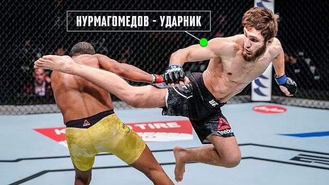 Ураган в Клетке! Саид Нурмагомедов - Ещё Один Чемпион UFC? Ураган в Клетке! Саид Нурмагомедов - Ещё Один Чемпион UFC?