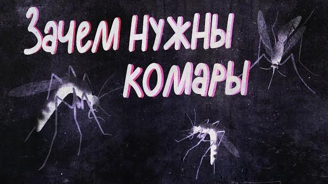 Зачем нужны комары? | Black Science Зачем нужны комары? | Black Science