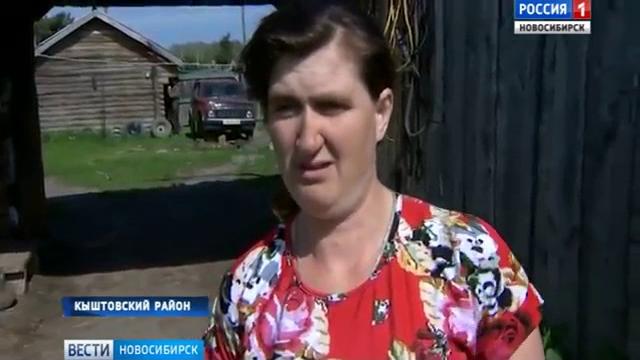 Снежного человека видели в Новосибирской области Снежного человека видели в Новосибирской области
