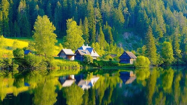 Gentle music, calms the nervous system and pleases the soul - healing music for the heart and blood Gentle music, calms the nervous system and pleases the soul - healing music for the heart and blood