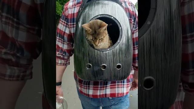 Мы уже приехали? Мы уже приехали?