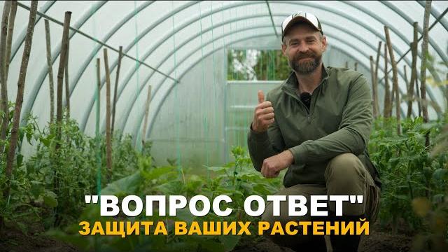 РУБРИКА "ВОПРОС-ОТВЕТ": Отвечаю на вопросы про обработку сада и огорода, сорняках и вредителях. РУБРИКА "ВОПРОС-ОТВЕТ": Отвечаю на вопросы про обработку сада и огорода, сорняках и вредителях.