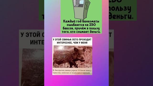 Почему он, а не я Почему он, а не я