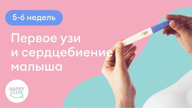 5-6 недель. Первое узи и сердцебиение малыша 5-6 недель. Первое узи и сердцебиение малыша