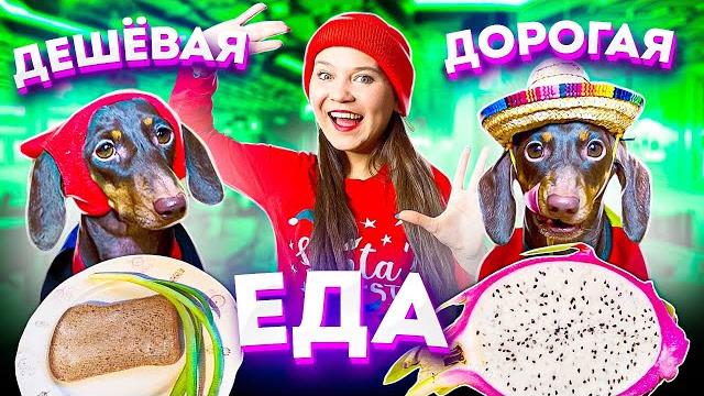 ДОРОГАЯ VS ДЕШЕВАЯ ЕДА II ЧТО ПОНРАВИТСЯ БОЛЬШЕ? ДОРОГАЯ VS ДЕШЕВАЯ ЕДА II ЧТО ПОНРАВИТСЯ БОЛЬШЕ?