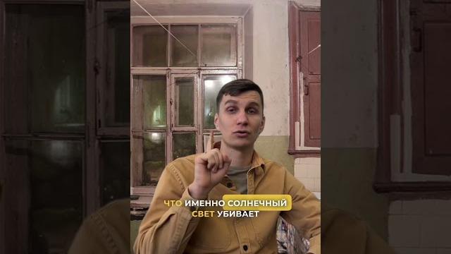 Окно между кухней и ванной комнатой? Окно между кухней и ванной комнатой?