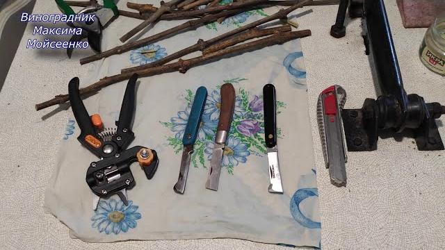 Настольная прививка винограда от А до Я. Настольная прививка винограда от А до Я.