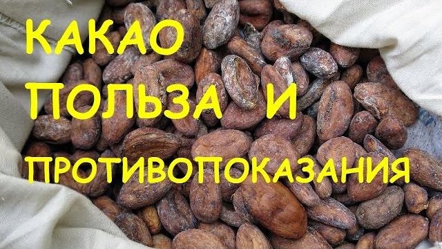 Какао. Польза и вред. Какао. Польза и вред.
